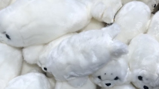 えぺ