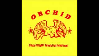 Orchid - Lights Out