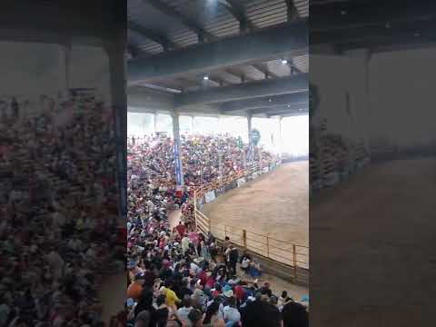 Rodeio e Bingo . Alegre Espirito Santo.