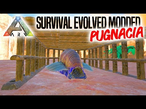 EN MEGA ULÆKKER IGLE! - ARK Survival Evolved Dansk Modded - Ep 8 (Pugnacia Mod Ragnarok)
