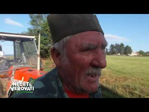 NEĆETE VEROVATI - Izgubljeno prase