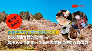 張維中帶你去愛知縣豐田市(2)秋天賞櫻到川見四季櫻・賞楓必去香嵐溪・三州足助屋敷體驗日本工藝製作