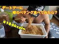 チートデーに噂のペヤングペタマックスに挑戦してみたら・・・
