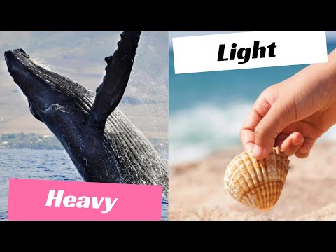 Read Aloud Books For Children - 'Heavy or Light?' by Pam Holden