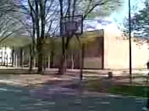 das können nur vogelheimer