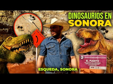 Las PISADAS de DINOSAURIOS en el territorio de Sonora 🦖| Fósiles de Dinosaurio en Esqueda, Fronteras