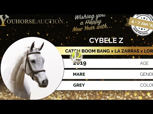 Cybele Z homevideo