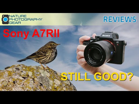 Sony A7RII for nature photography | Review