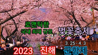 진해 군항제 벚꽃축제 2023 - 국내 최대 규모 벚꽃축제가 열리는 여좌천과 경화역 개화 현황