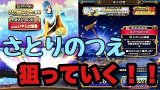 【DQW】さとり装備ガチャ来た！！　念願の★５僧侶杖くるか！？【ドラクエウォーク】