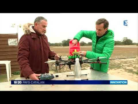 Un drone tueur de frelons dans les Pyrénées-Orientales.