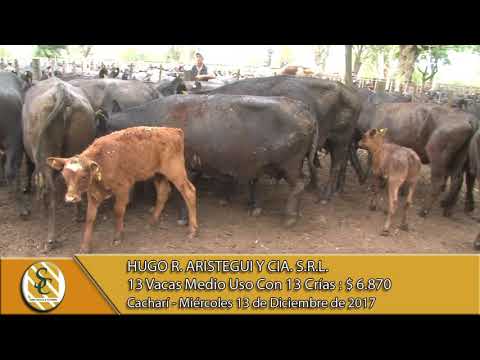 13-12-17 Venta de Vientre - Hugo R. Aristegui Y Cia. S.R.L. - Cacharí