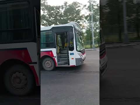 Linea Florida Tucumán