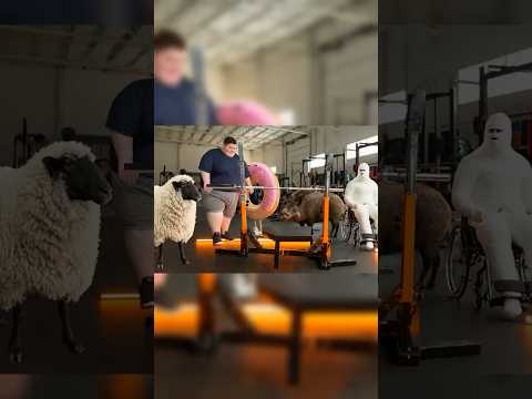 Zjadłem pieroga i podniosłem 200 kg?