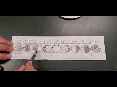 Moon Phases Diagram