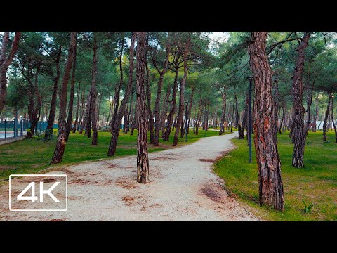 Walking in HayatPark, Antalya 2022, Stereo sounds, 4k video