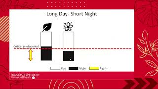 2025 HGW: Shedding Some Light on Plant Lighting
