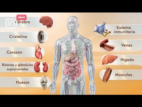 Kujdes kur blini vitamina! Mjekët: Vitaminat në supermarkete janë të modifikuara