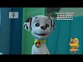 Nick Jr Block PAW Patrol And Rubble Crew Countdown Timer New Screenbug Nickelodeon U S
