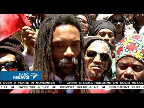 Cape High Court tests legality of cannabis