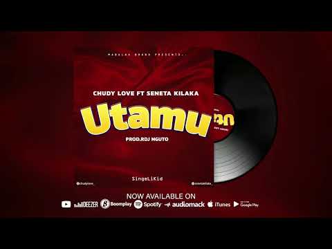CHUDY LOVE Ft SENETA (Official music audio)