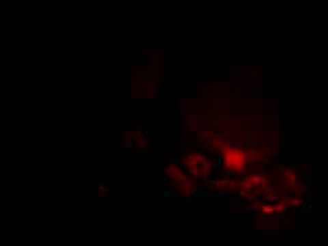 DJ Task & Heavy-Flash Fingarz Berlin@www.psycoreboard.de