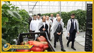 Բիբա՞ր ա փչացել, փողը կտամ, վա՞րդ ա փչացել, փողը կտամ, դուք խաղաղությանը տեր կանգնեք. Փաշինյան