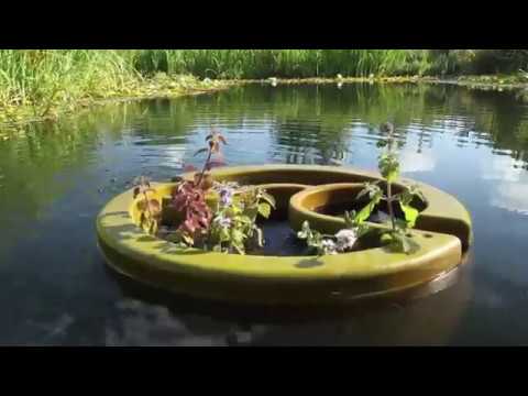 OLIVE  The world's first Organic Pools floating biofilter