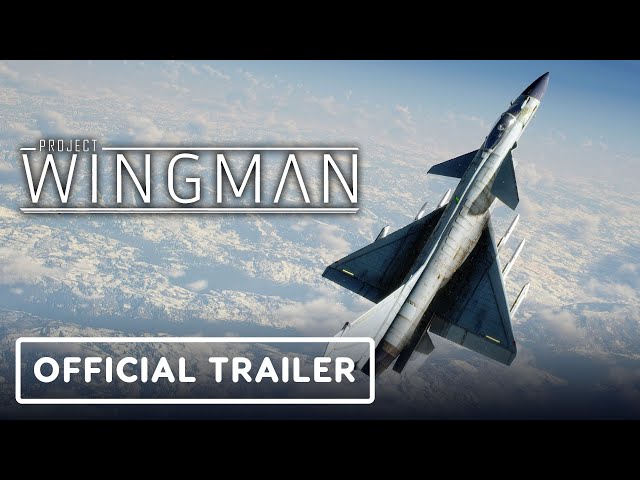 Video - Project Wingman (PC)