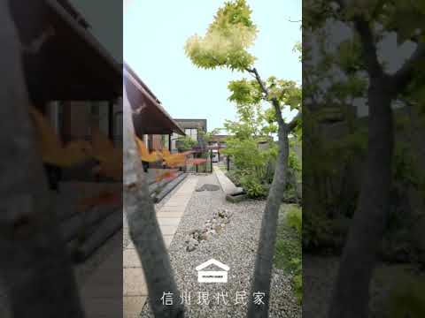 リビングルームの緑の壁