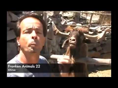 XXUwe - FRANKEN ANIMALS 22