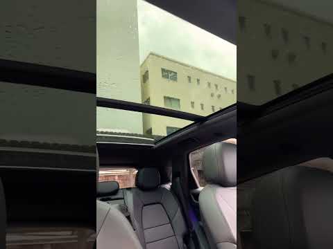 園芸 デュランテ、カイエンバニラ