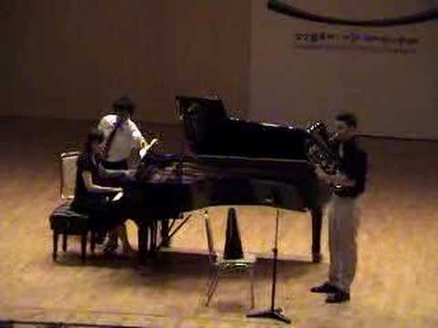 Derek BOURGEOIS - Concerto Op.114 - 1st Mvt (Extract2)