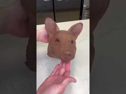 Chocolate Fox! 🦊 The tree stump and the pup turned out so cool!