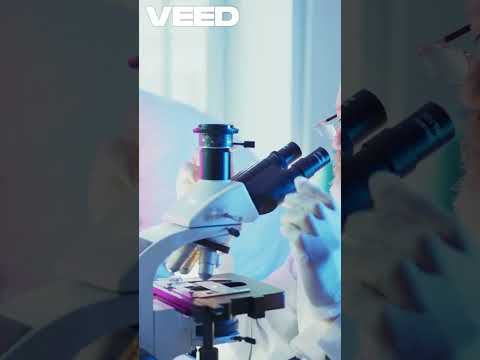 Ancient Clam, Modern Dilemma