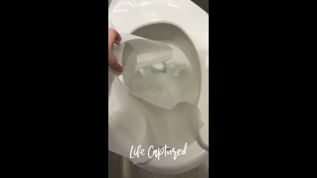 The Toilet Seat Cover