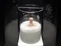 Vaporizing Chicken In Acid