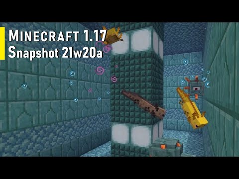 winkeyface14 - Minecraft 1.17 Snapshot 21w20a - Small Changes and A LOT OF BUG FIXES!!!
