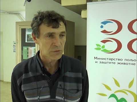 Niske temperature oštetile kajsiju