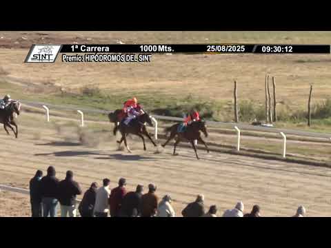 25/08/2025 – Hipodromo Colonia – Carr 1 – HIPÓDROMOS DEL SINT