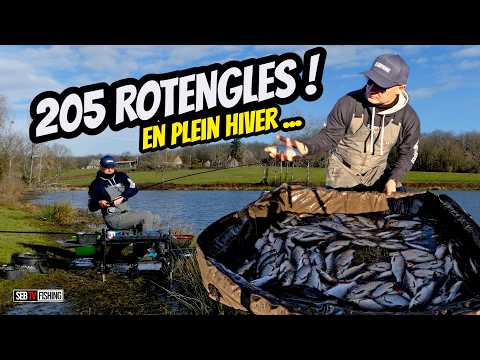 Seb TV Fishing