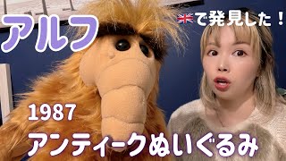 【衝撃の価格!!】37年レア✨ヴィンテージ品をイギリスで見つけた!!!アルフ🩷