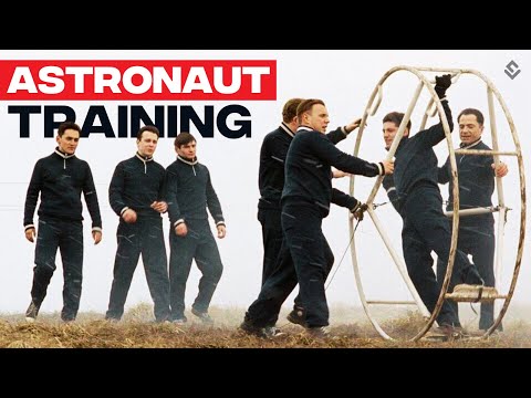 Real Astronaut Training REVEALED: What It’s Like To Train For Space Travel