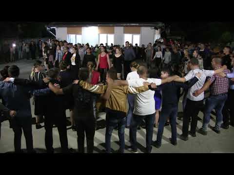 FRAGMENT DIN NEDEEA PADURENERASCA DE LA CERISOR 2019