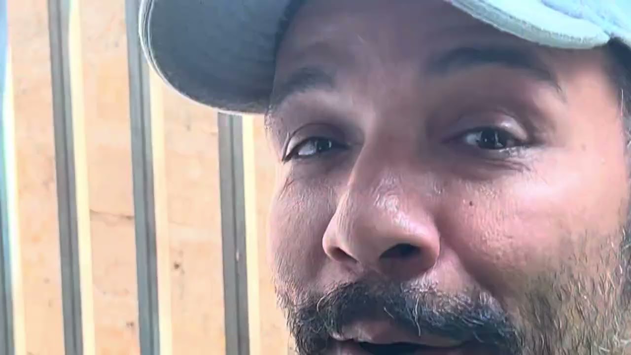 A natureza como é linda Peito branco Disputando a fêmea com conhaque