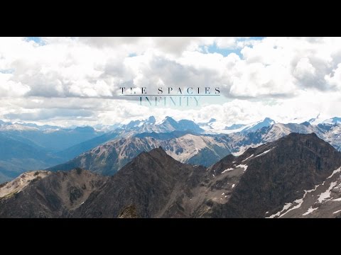 The Spacies - Infinity [Official Music Video]