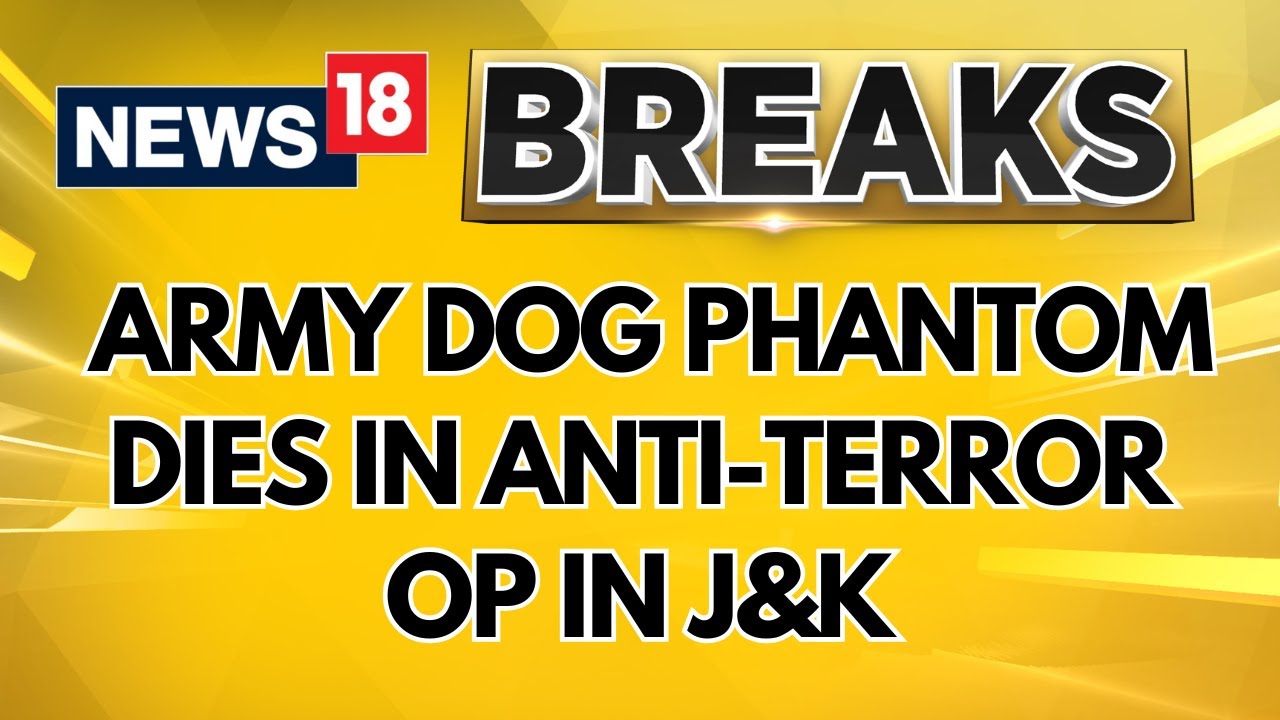 Army Dog Phantom Killed In Anti-Terror Operation In Jammu's Akhnoor | #BreakingNews | News18