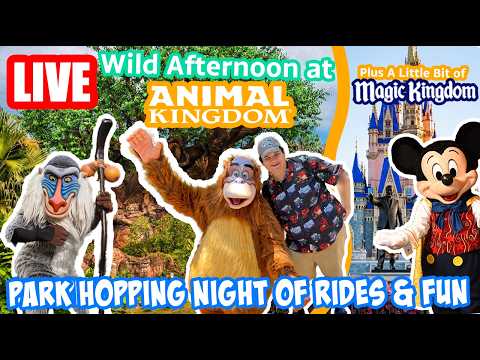 Live webcam of Goo to You