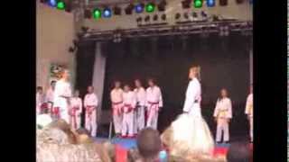 preview picture of video 'Karate Arnstadt - Auftritt Stadtfest 2013'