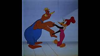 the velvet underground - we&#39;re gonna have a real good time together (legendado)